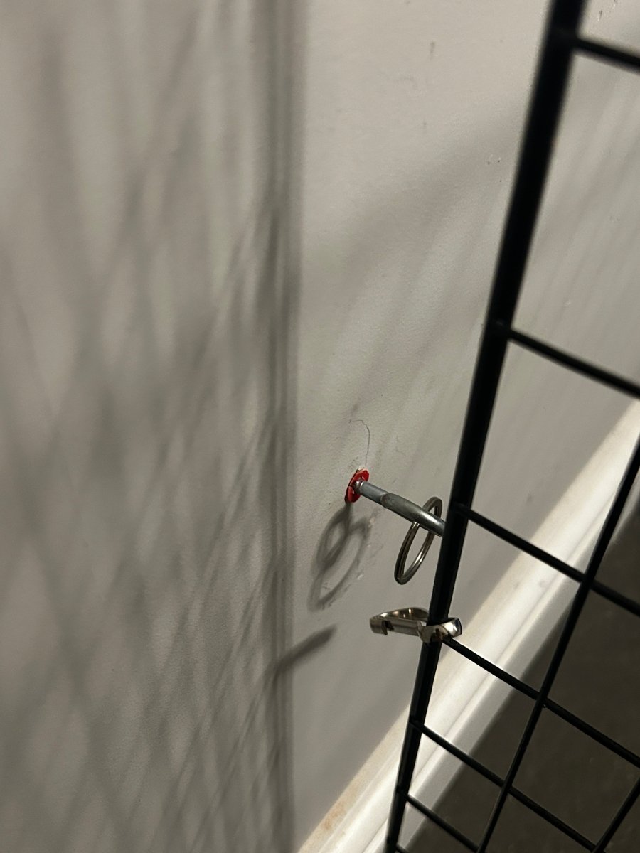 Metal hook attached to a wire mesh against a plain wall